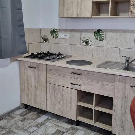 Будинок відпочинку Casuta De Vacanta.