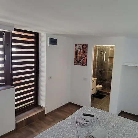 Casuta De Vacanta. 펜션 콘스탄차